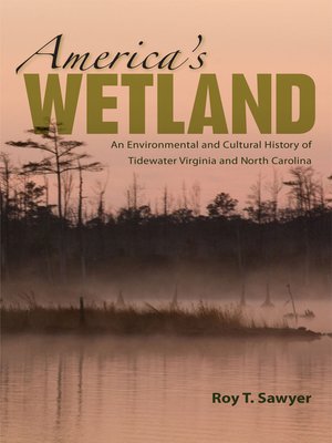 cover image of America's Wetland